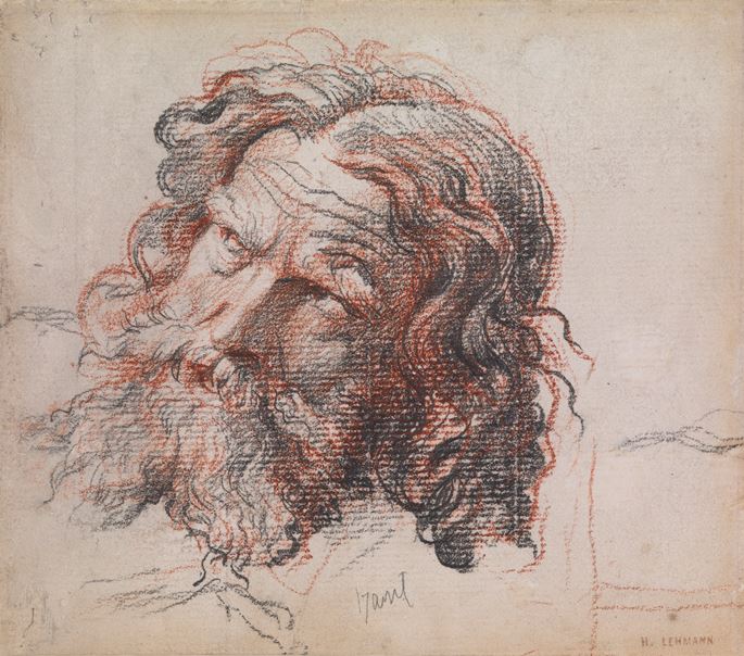 Karl-Ernest-Rudolph-Heinrich Salem LEHMANN - Study of the Head of a Bearded Man | MasterArt